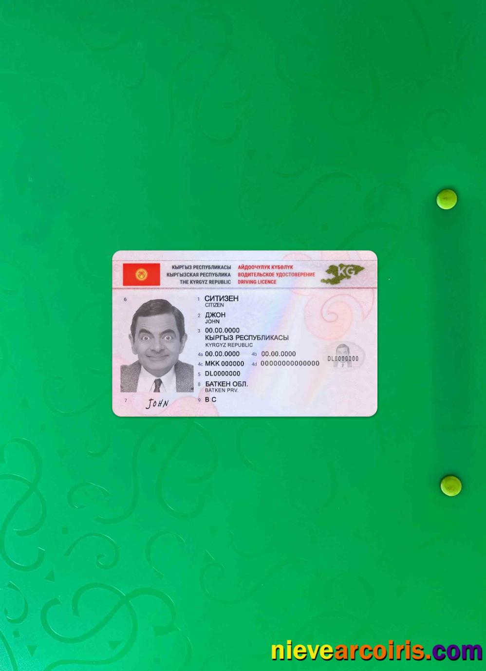 Kyrgyzstan driving license 2019-present photolook